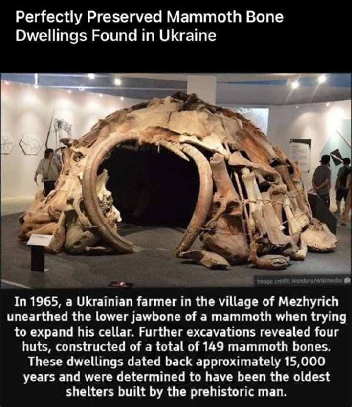 25,000-Year-Old Structure Made Of Mammoth Bones Discovered In Russia
