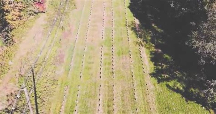 Hundreds Of Bodies From Rhode Island Institution Buried Under Highway